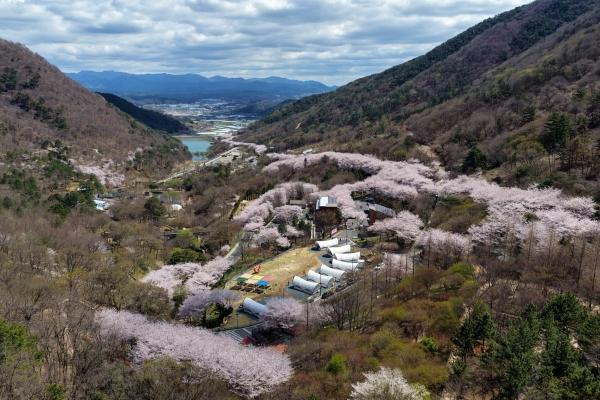 1994182814_nUdiJ3jo_94202d904125b3186662