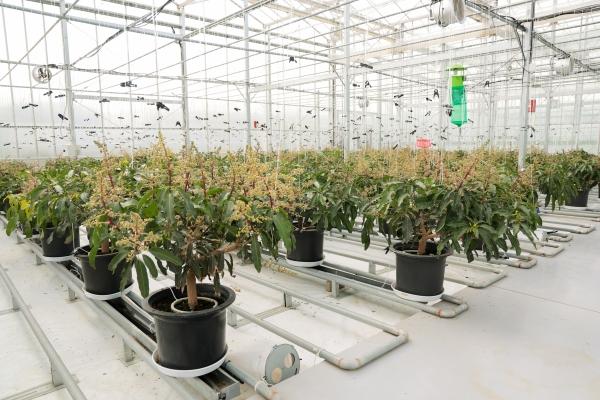 1994182814_nawHq0PU_489e19b42f5f3f48d87e