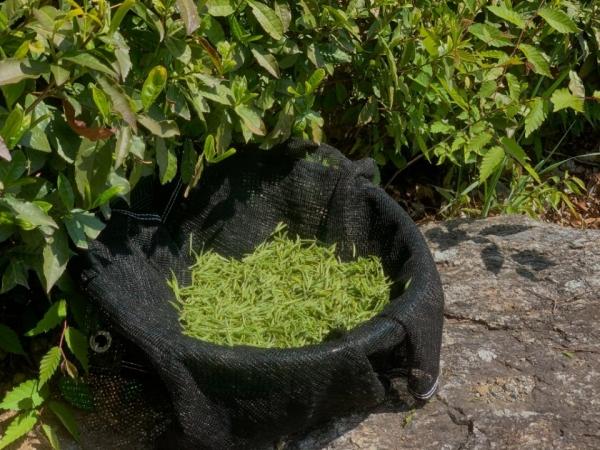 1994182814_sGdmjPDX_c9c2e913da8ffa5abdf3