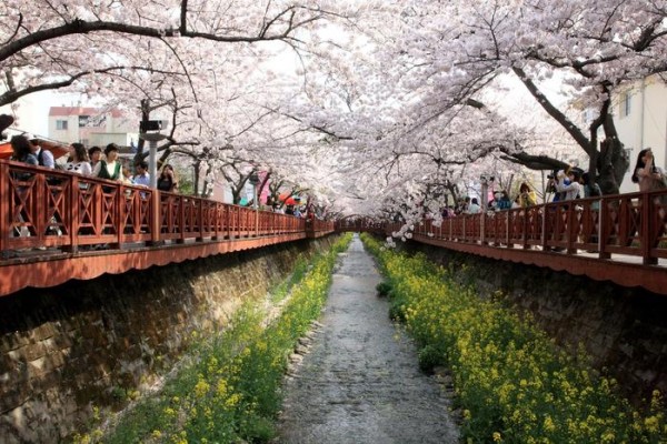 2012040420434874.jpg