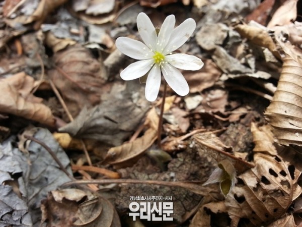 2016050544414094.jpg
